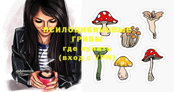 прущие крисы Алексеевка