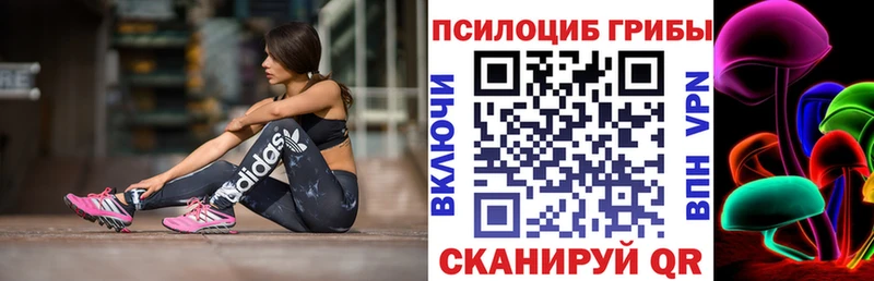 площадка как зайти  Еманжелинск  Галлюциногенные грибы Psilocybe 